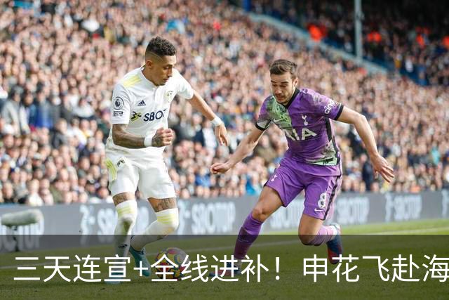 三天连宣+全线进补！申花飞赴海口启动新赛季